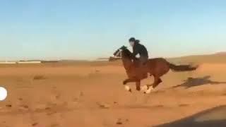 Шабыс