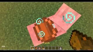 When my Minecon Cape Goes Crazy   MCCAPES MOD