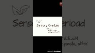 #3 Sensory Overload