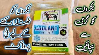 bakron ko garmi mey coolant k istemal sey thanda rakheyn // ustad farhan gujjar