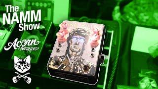 Acorn Amplifier’s Pedal Wonders: Exclusive NAMM 2024 Showcase | B’s Music Shop