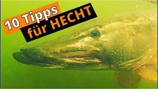 HECHTANGELN: 10 wichtige Tipps für deinen Fang-Erfolg vom Ufer!️