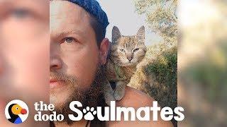 Guy Biking Across the World Picks Up a Stray Kitty | The Dodo Soulmates