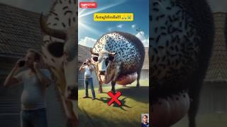 Best ️ Edit For Muslims ️ #shorts #allah #subhanallah #islamic