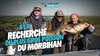 A la recherche du plus gros poisson du Morbihan  Pêche du Silure sur la basse Vilaine (56)