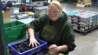 Bracket Assembly