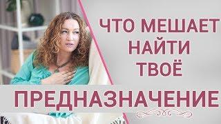 Предназначение человека на земле и смысл его существования