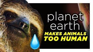 Planet Earth Is Reading Too Far Into These Animals | CH Shorts