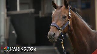 Horses arrive in style at the iconic Chateau de Versailles for the Paris Olympics | NBC Sports