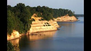 RTF: What is the Miocene Epoch?