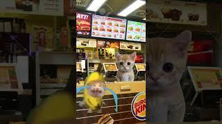  Banana Cat  goes to the Burger King  (shops stories) #memes #youtube #trending #funny #happycats