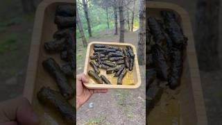 Clay Pot Stuffed Vine Leaves | Güveçte Zeytinyağlı Sarma#turkishfood #outdoorcooking #food #asmr