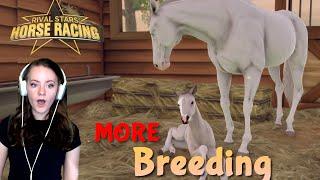 MORE Breeding and Buying Horses! - Rival Stars Horse Racing | Pinehaven