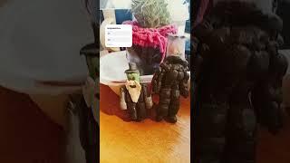 слепил зомби банкира из пластилина #лепка #roblox #герои