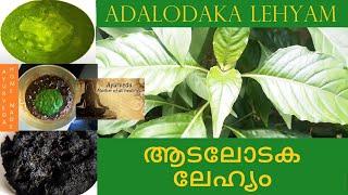 Cough relief home remedy|Adalodaka Lehyam | ആടലോടക ലേഹ്യം | വിട്ടുമാറാത്ത കഫക്കെട്ടിനു ഉത്തമം