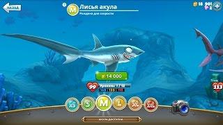 Hungry Shark World - Купил лисью акулу