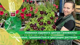 Новинки садового центра Гринвилль! Плодовые, травянистые и цветущие растения