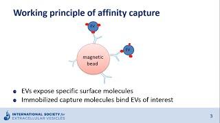 Affinity capture of extracellular vesicles