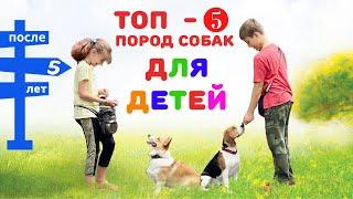 ТОП - 5 пород собак || Какую породу собаки выбрать для ребенка ПОСЛЕ 5 лет в квартиру?