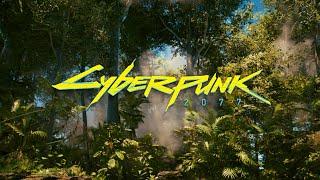 CYBERPUNK 2077  86: Meditieren in einem Vermüllten Park