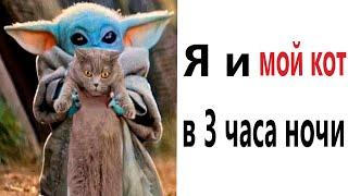 Приколы! Я И МОЙ КОТ В 3 ЧАСА НОЧИ - МЕМЫ!!! Смешные видео от – Доми шоу!