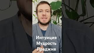 "ИНТУИЦИЯ. МУДРОСТЬ. ПРАДЖНЯ." О медитации. Просто. #медитация