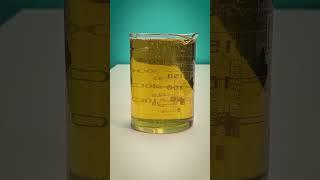 The Magic of RefractionHow Light Bends and Alters Our Vision #shorts #jee #telugujee #vedantu
