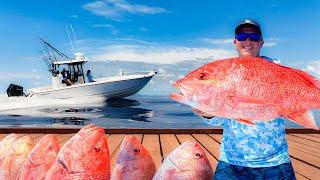 RED SNAPPER FRENZY on Floridas Gulf Coast