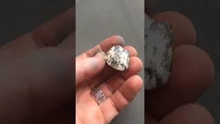Field Walking Freaks : stone axe? Or pendant? :
