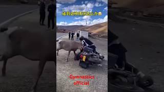 12 Sanga was beating the motorcyclist and taking advantages the thief ran away with his motorcycle