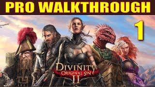 Divinity: Original Sin 2 Walkthrough Part 1 - 5 Things They Don't Tell You in Character Creation