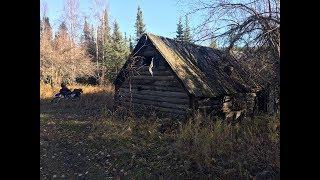 Metal detecting an old Alaskan gold rush cabin