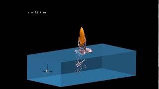 Two-phase flow LES of a jumping archer fish