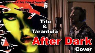 Tito & Tarantula - After Dark (Instrumental & vocal cover)