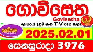 Govisetha 3976 2025.02.01 Today nlb Lottery Result අද ගොවිසෙත දිනුම් ප්‍රතිඵල  Lotherai dinum anka