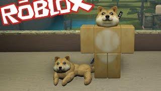 Roblox DOGE TYCOON / MORPH IN TO A DOGE AND BECOME A MILLIONAIRE!! Roblox