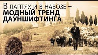 Секта "Звенящие кедры России" ("Анастасиевцы"): мнение и опыт проживания