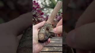 Relax, it’s art 🪵 #carving #woodcarving #woodworking #woodworkingart #nature #relaxing
