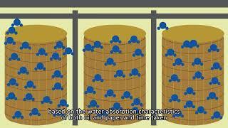 Managing Moisture in a Power Transformer