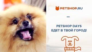 PETSHOP DAYS - АНЯ MAGIC, LISSA AVEME, ГЛЕБ КОРНИЛОВ И ЧУБАКА В ТВОЕМ ГОРОДЕ!