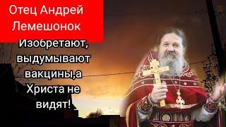 Отец Андрей Лемешонок.Изобретают,выдумывают вакцины,а Христа не видят!и никто не видит!