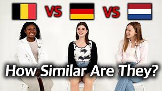 Can Dutch and German Speaking Countries Understand Each Other? (Belgium vs Germany vs Netherlands)