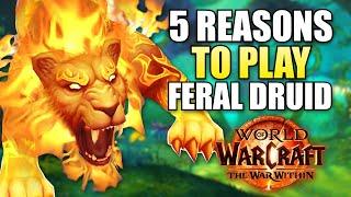 Top 5 Reasons To Play Feral Druid In WoW: The War Within