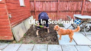 Cozy Day In my Life In Scotland | Grocery Shopping , Home Cooking, Gardening , Life of an Introvert