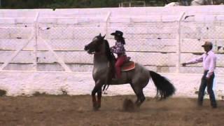 3 Tambores