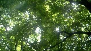 Artmospheric 2010 - The Unknown Stage (ambient view).AVI