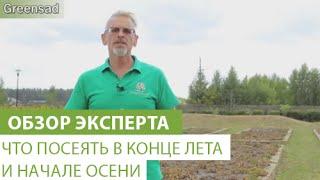 Что посеять в конце лета и начале осени