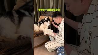 小狗從來不會讓你變得孤獨 #爹寶狗 #我的小狗 #小狗治愈一切
