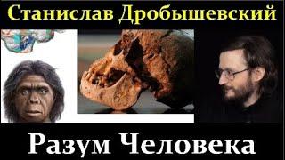  Дробышевский С. Почему Homo Sapiens стал разумным, а другие животные нет? Video ReMastered.