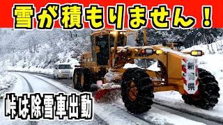 2024-12-22（日） どうした大雪！雪が積もりません！snow